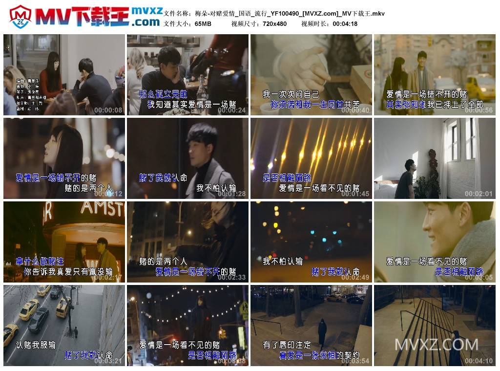 梅朵-对赌爱情_国语_流行_YF100490